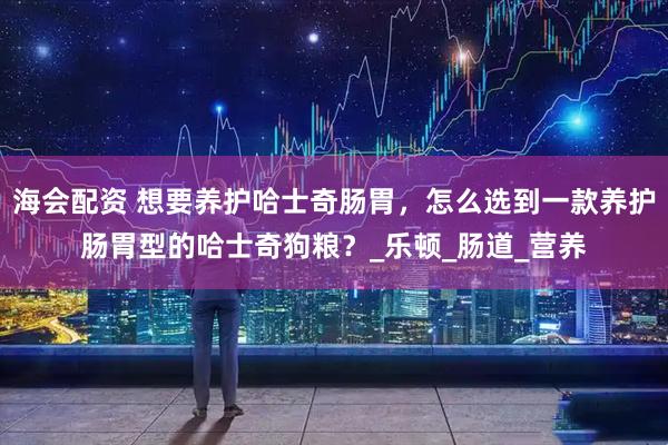 海会配资 想要养护哈士奇肠胃，怎么选到一款养护肠胃型的哈士奇狗粮？_乐顿_肠道_营养