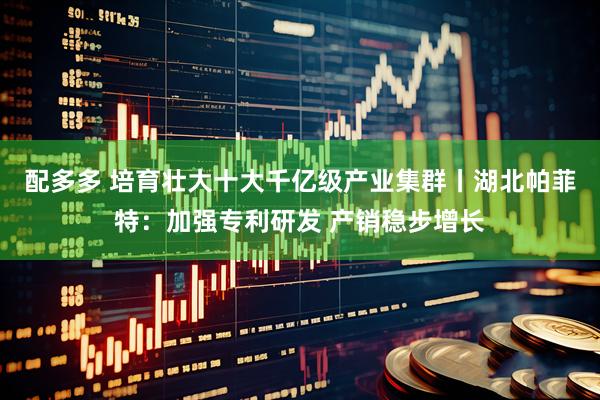 配多多 培育壮大十大千亿级产业集群丨湖北帕菲特：加强专利研发 产销稳步增长