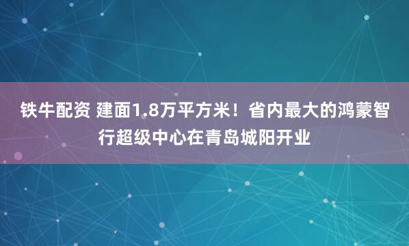 铁牛配资 建面1.8万平方米！省内最大的鸿蒙智行超级中心在青岛城阳开业